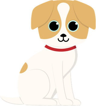 Microsite Transparentsd
