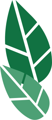 left-side-green